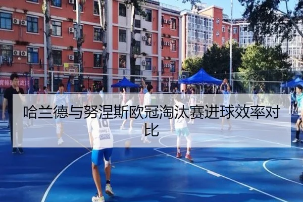 img_1791860544052_881_1_423.jpg